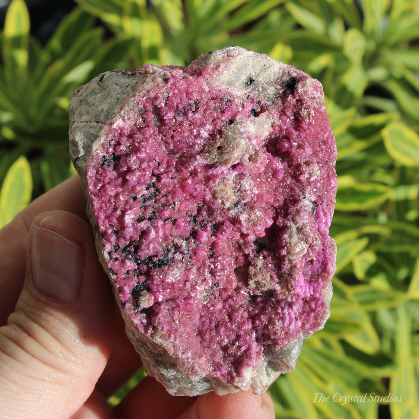 Cobaltoan Calcite Natural Crystal