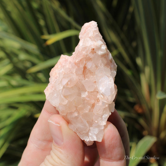 Pink Himalayan Samadhi Quartz Crystal Cluster