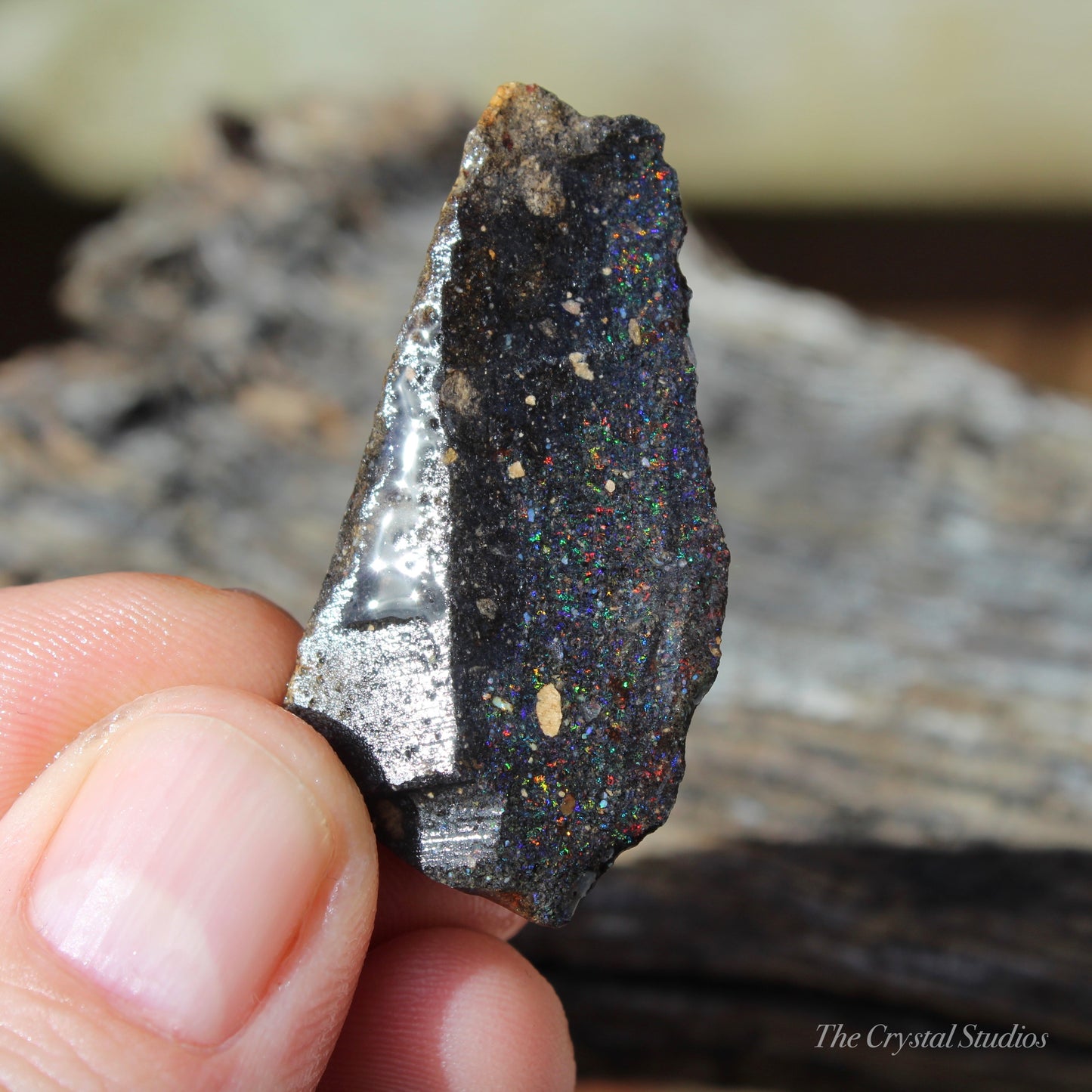 Honduran Black Opal Part Polished