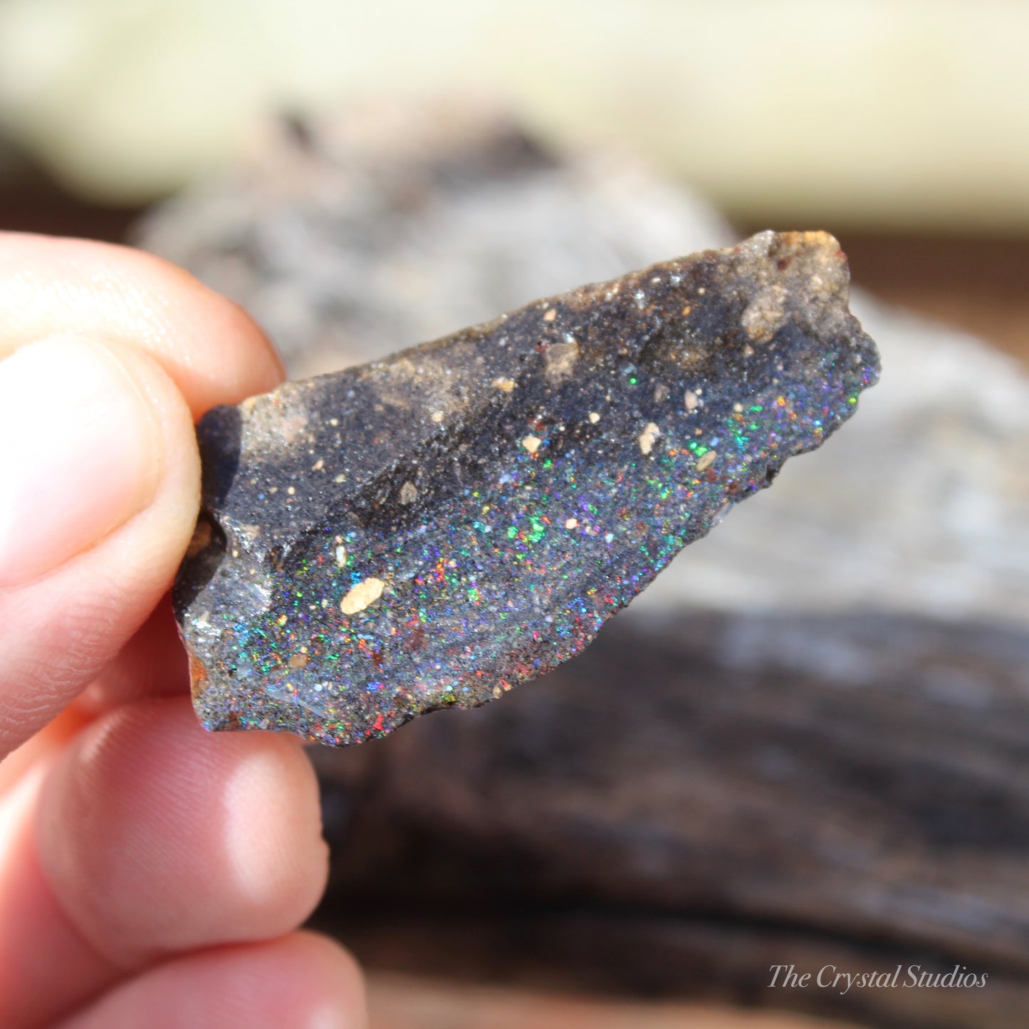 Honduran Black Opal Part Polished
