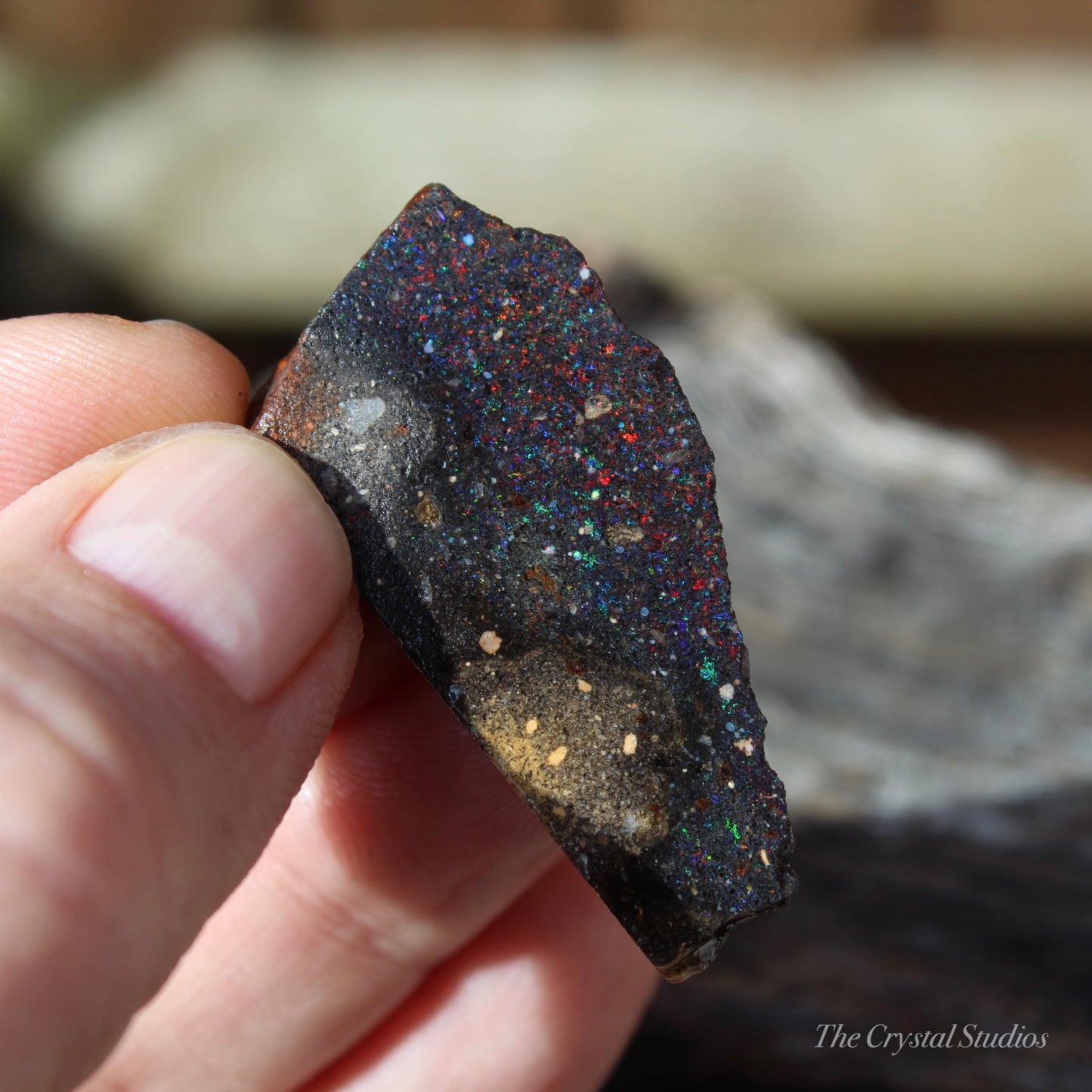 Honduran Black Opal Part Polished