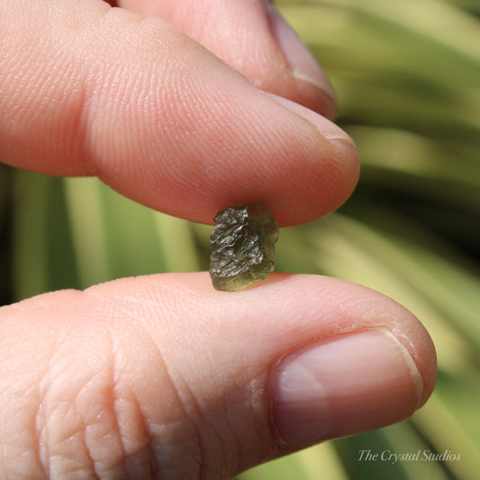 Moldavite Genuine Natural Crystal