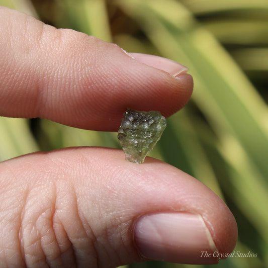 Moldavite Genuine Natural Crystal