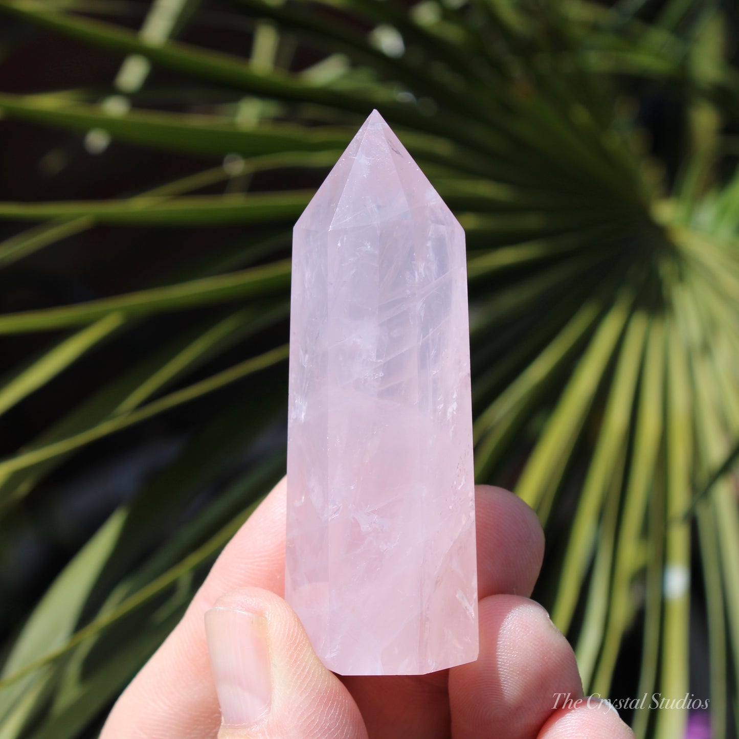 Rose Quartz Small Polished Point