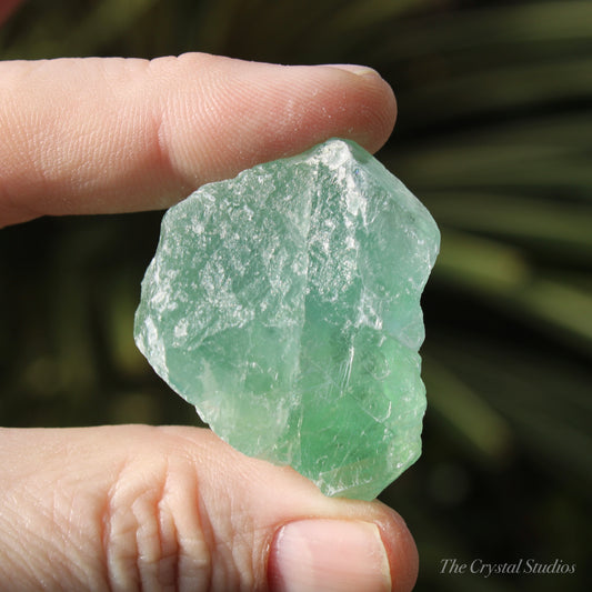 Green Fluorite Natural Crystal