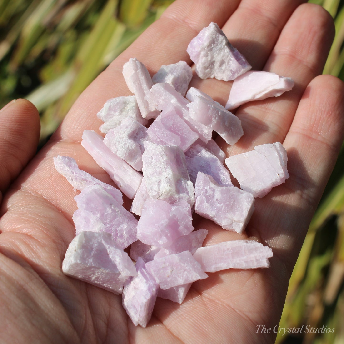 Purple Kunzite Natural Crystals