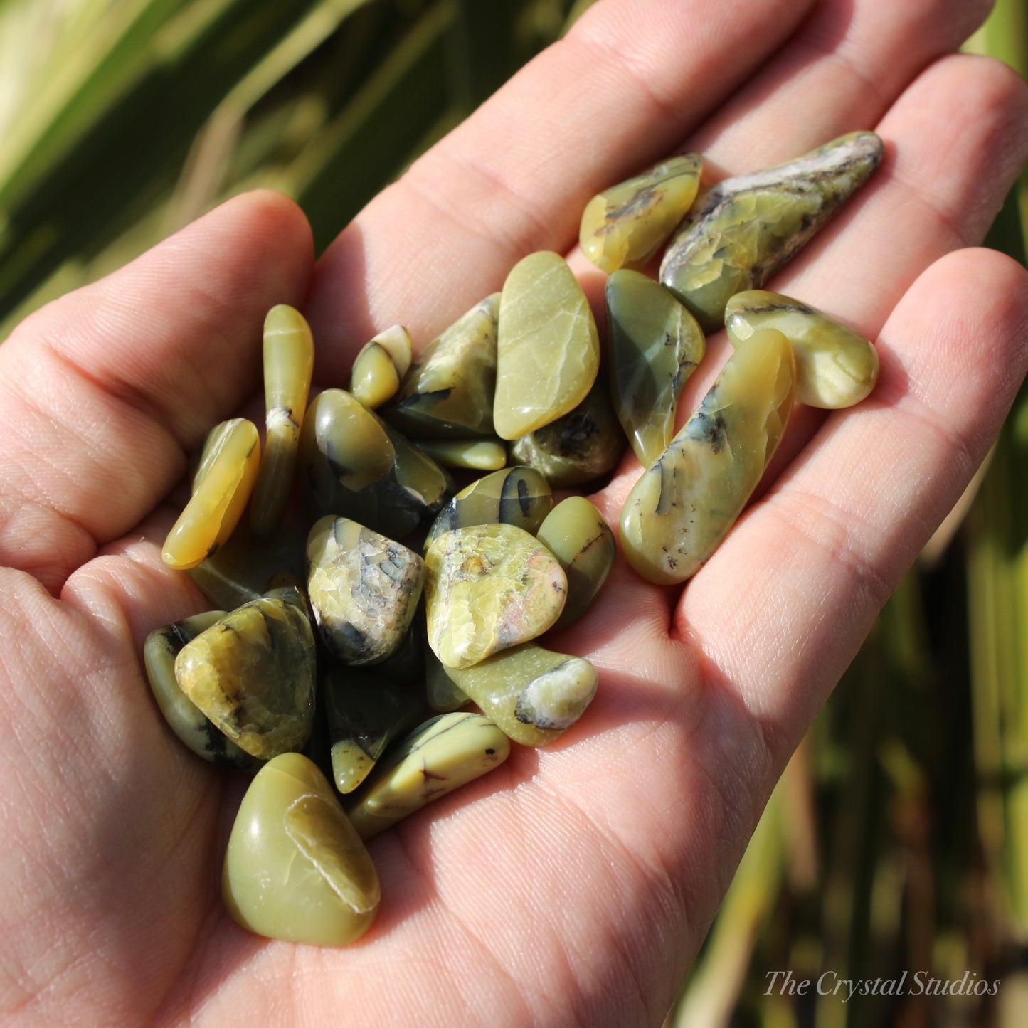 Bowenite Polished Crystal Tumblestones