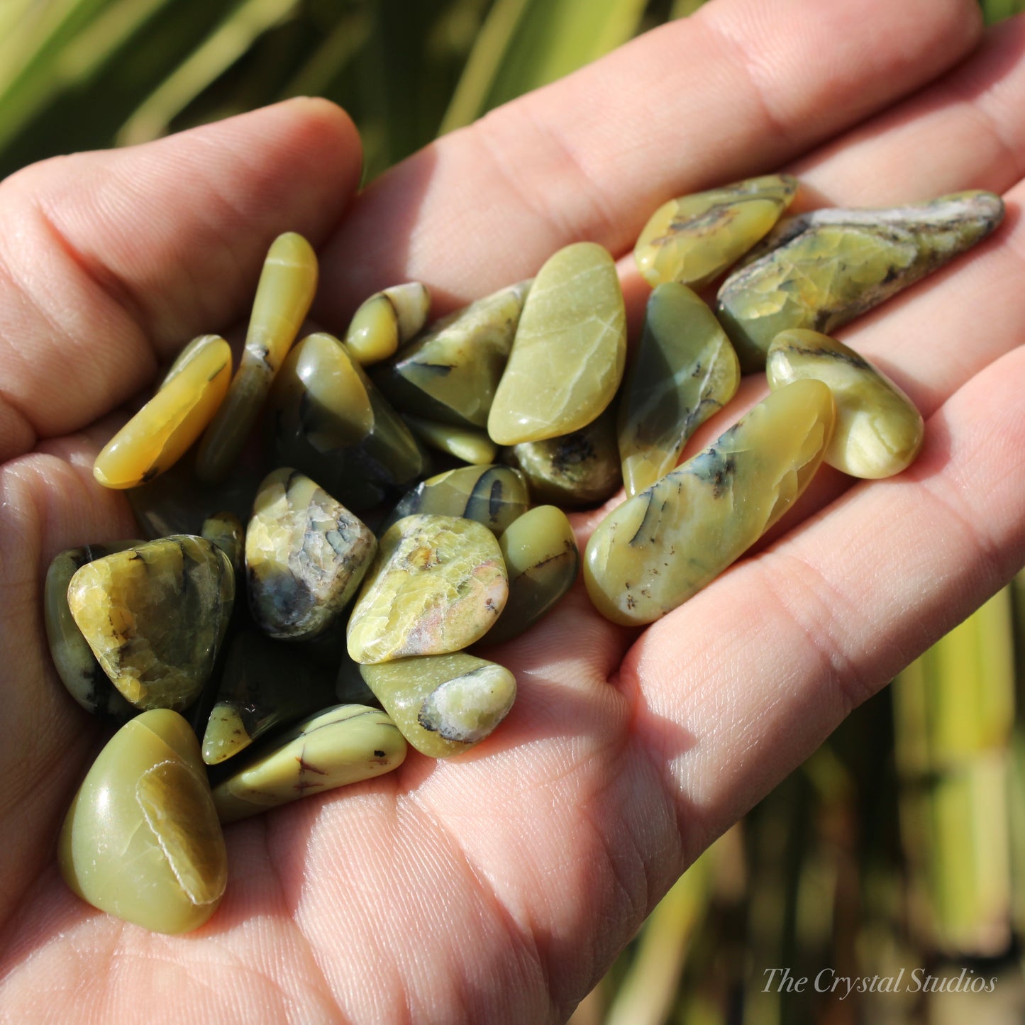 Bowenite Polished Crystal Tumblestones