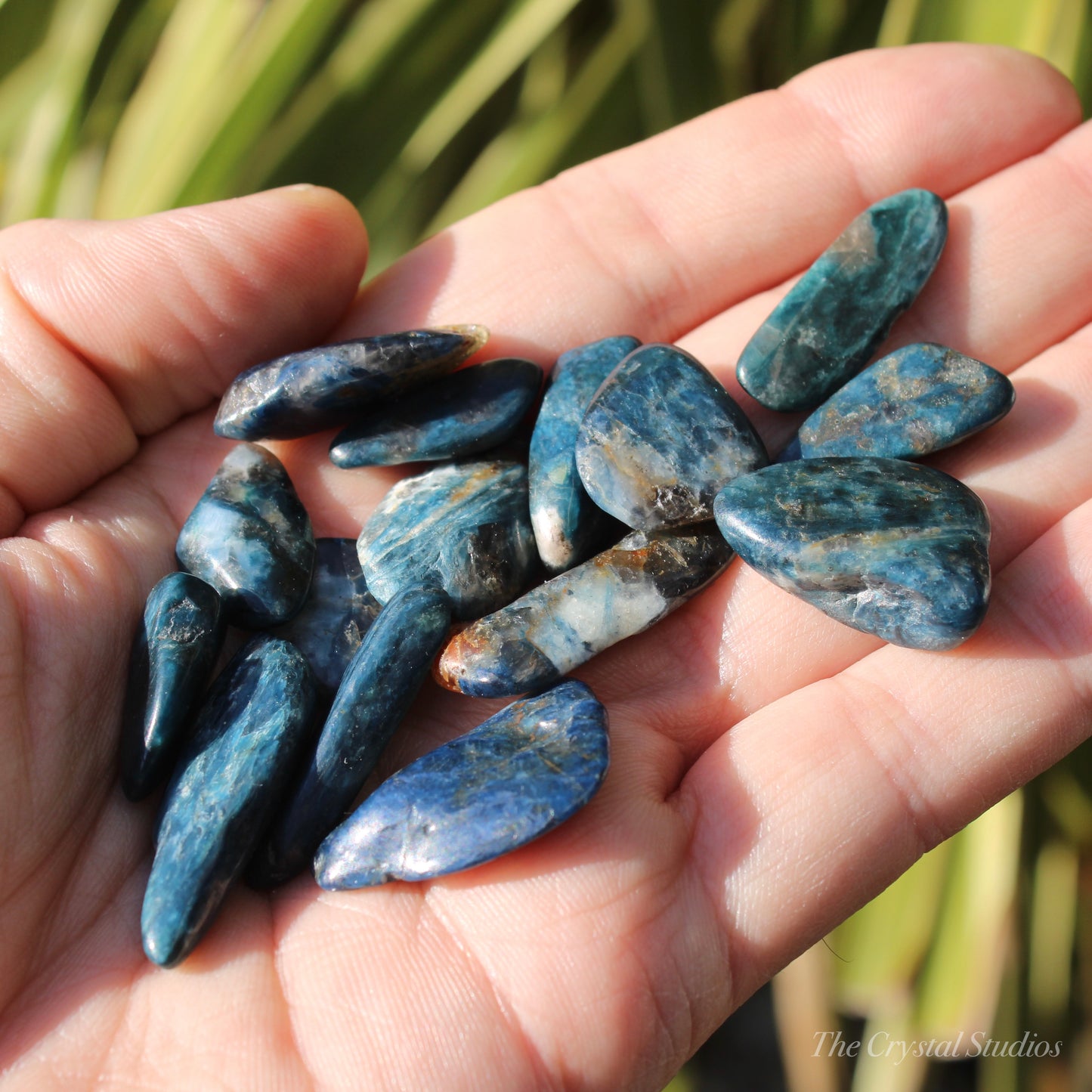 Blue Kyanite Small Polished Crystal Tumblestones