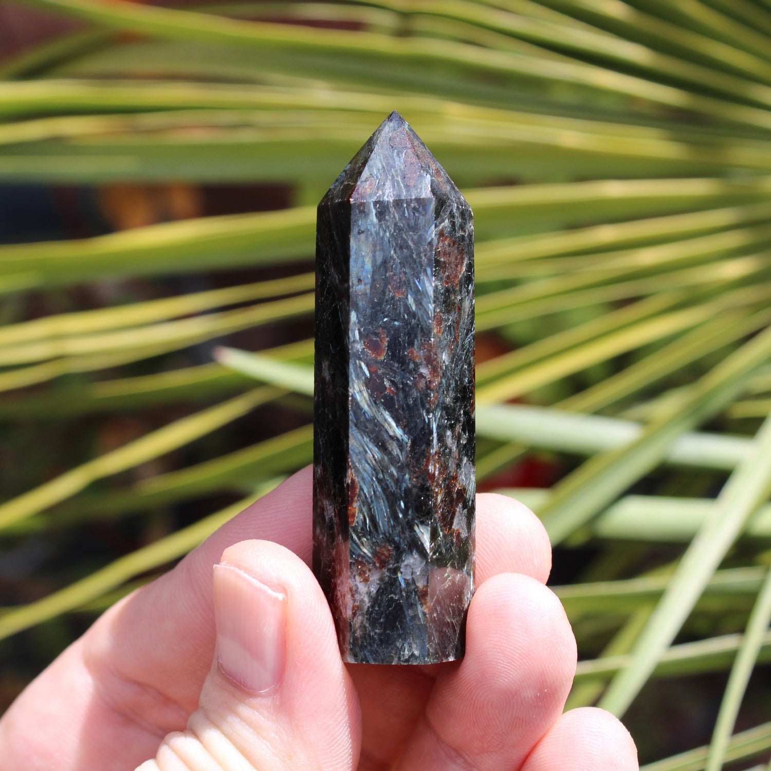 Astrophyllite
