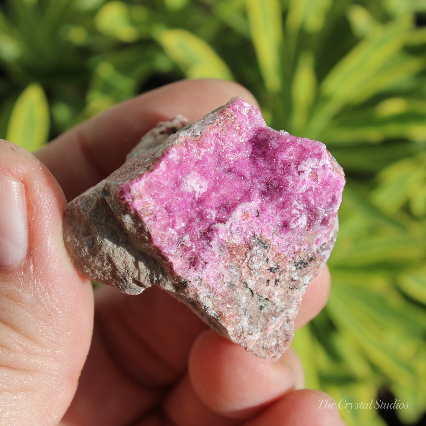 Cobaltoan Calcite Natural Crystal