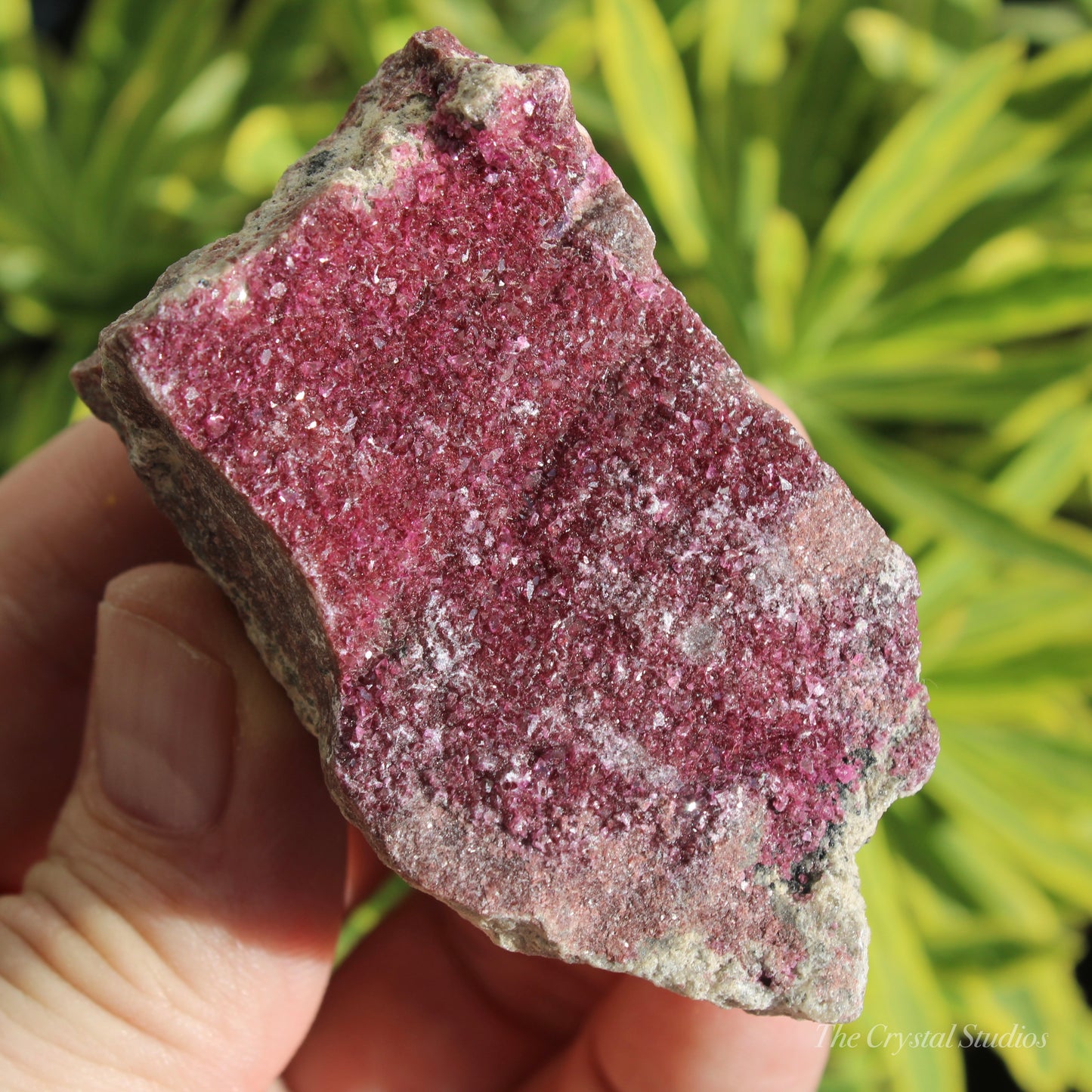 Cobaltoan Calcite Natural Crystal