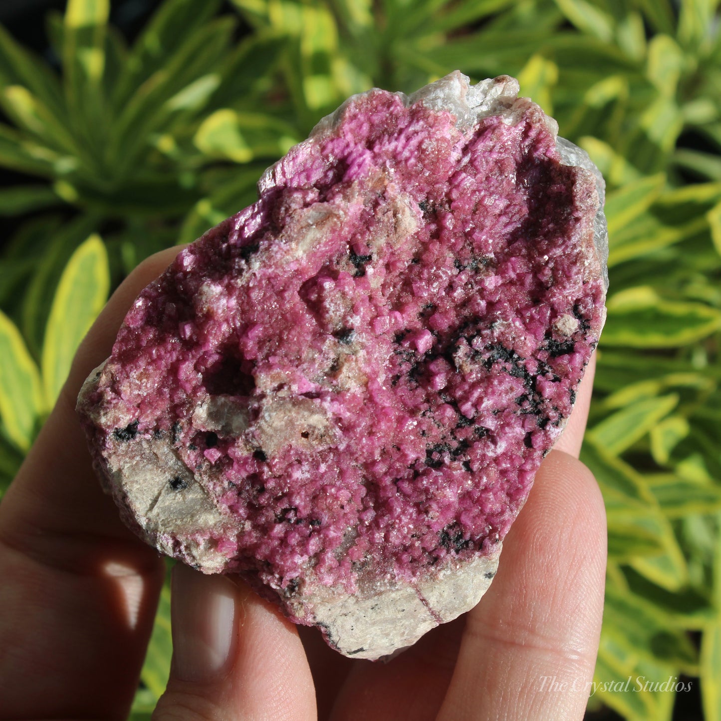 Cobaltoan Calcite Natural Crystal