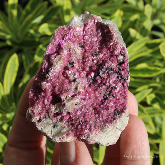 Cobaltoan Calcite Natural Crystal