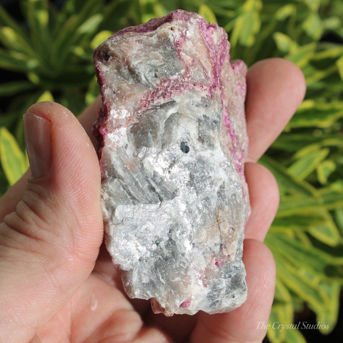 Cobaltoan Calcite Natural Crystal