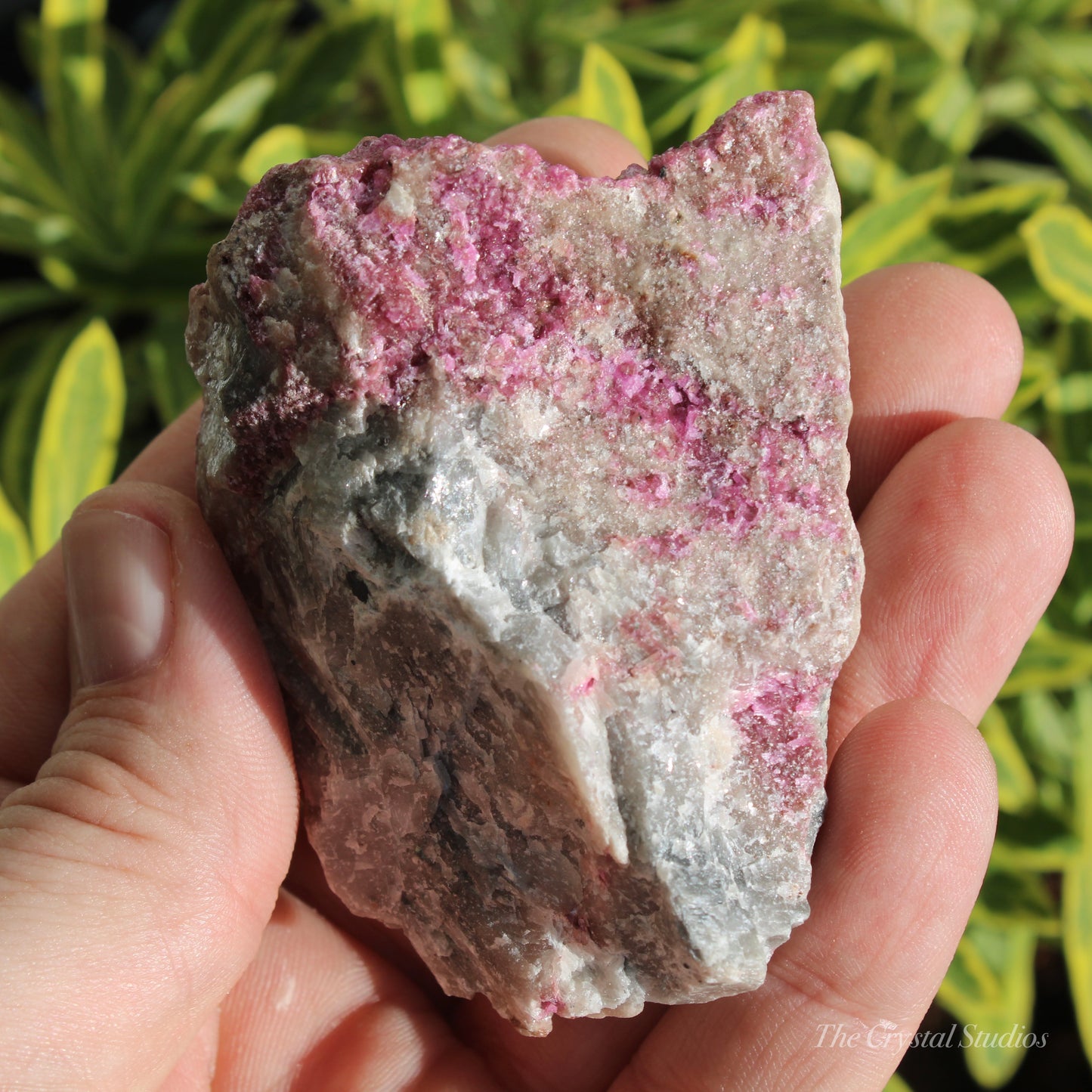 Cobaltoan Calcite Natural Crystal