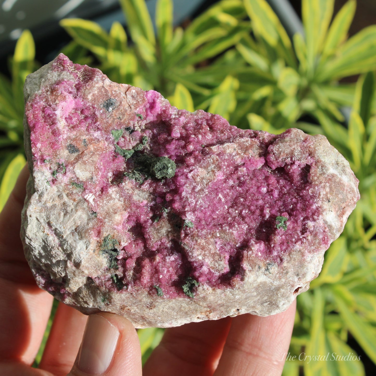 Cobaltoan Calcite Natural Crystal