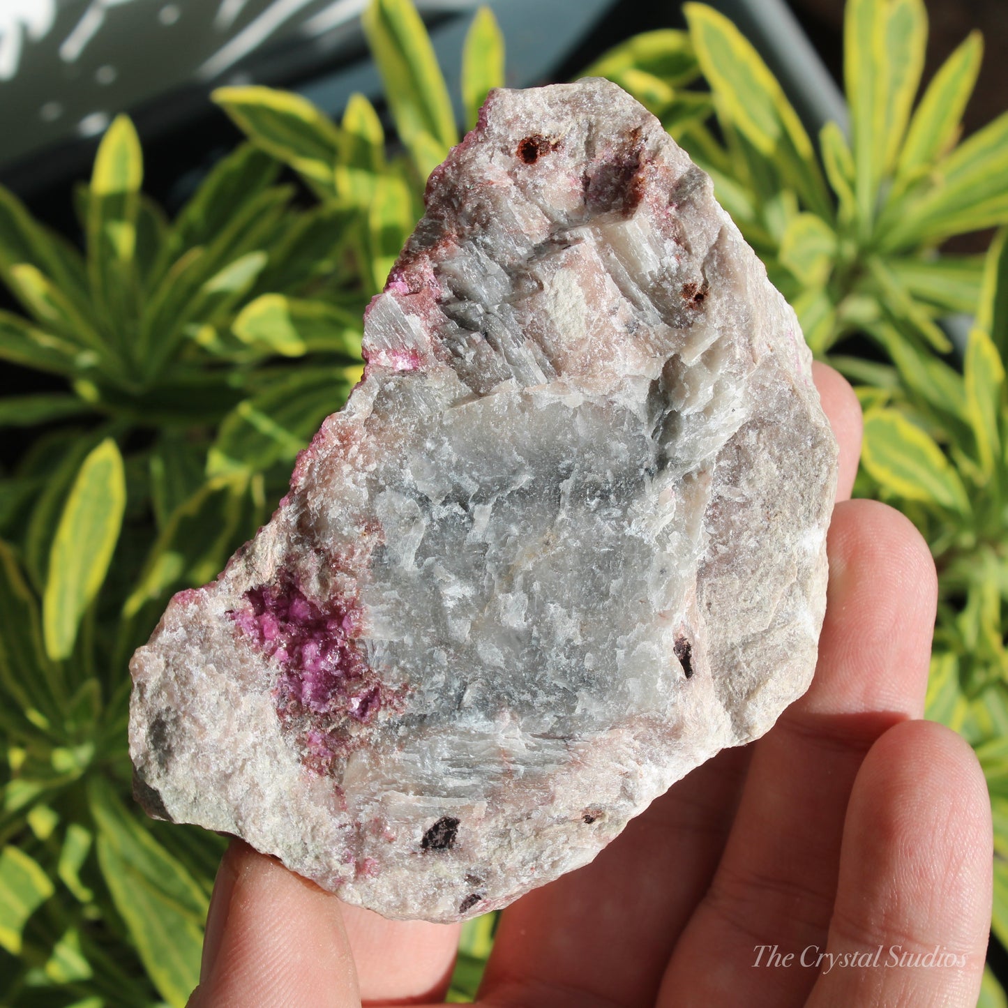 Cobaltoan Calcite Natural Crystal