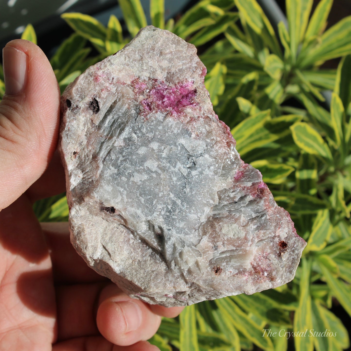 Cobaltoan Calcite Natural Crystal