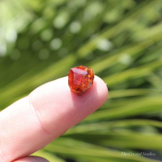 Spessartine Garnet Natural Crystal Gem