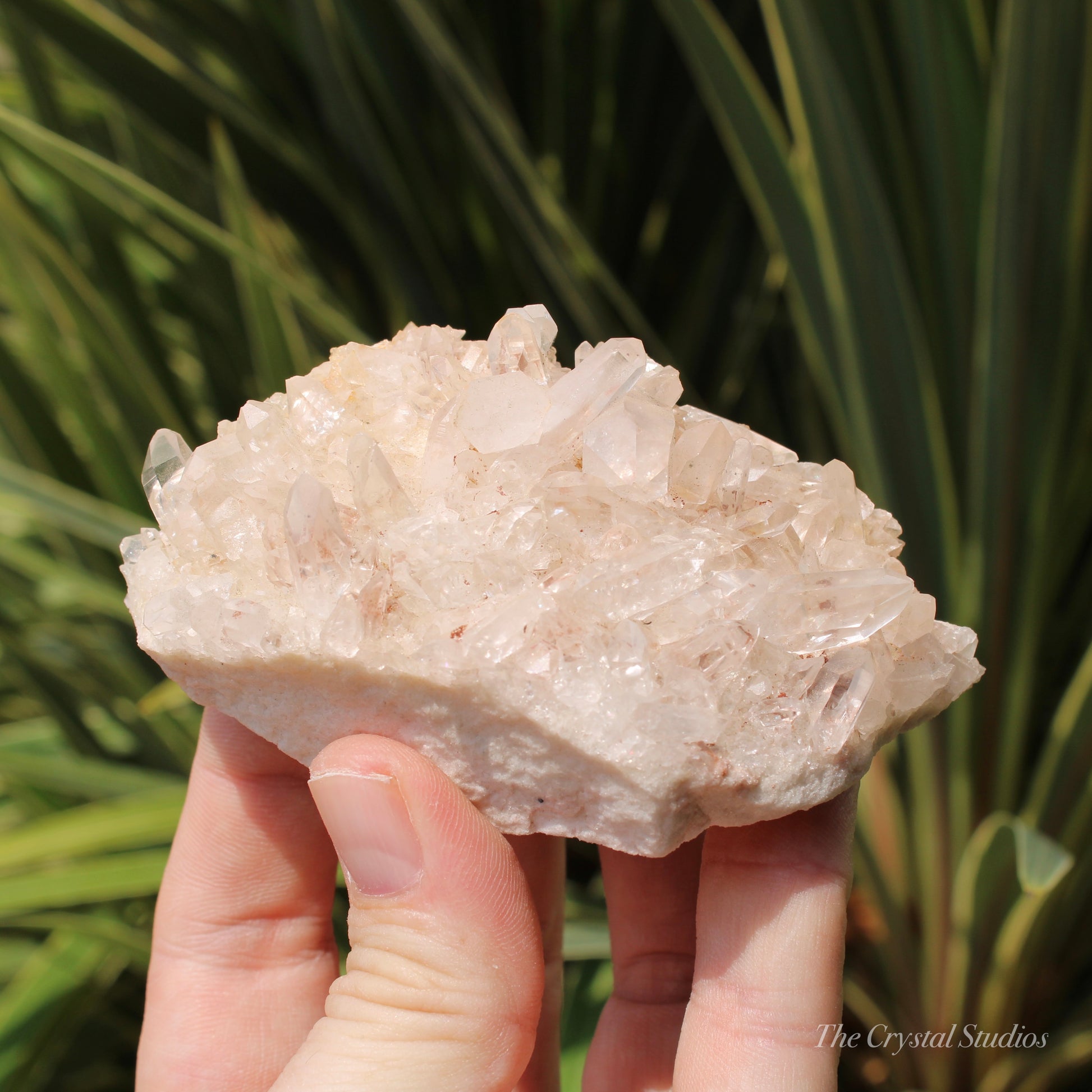 Pink Himalayan Samadhi Quartz Crystal Cluster – The Crystal Studios