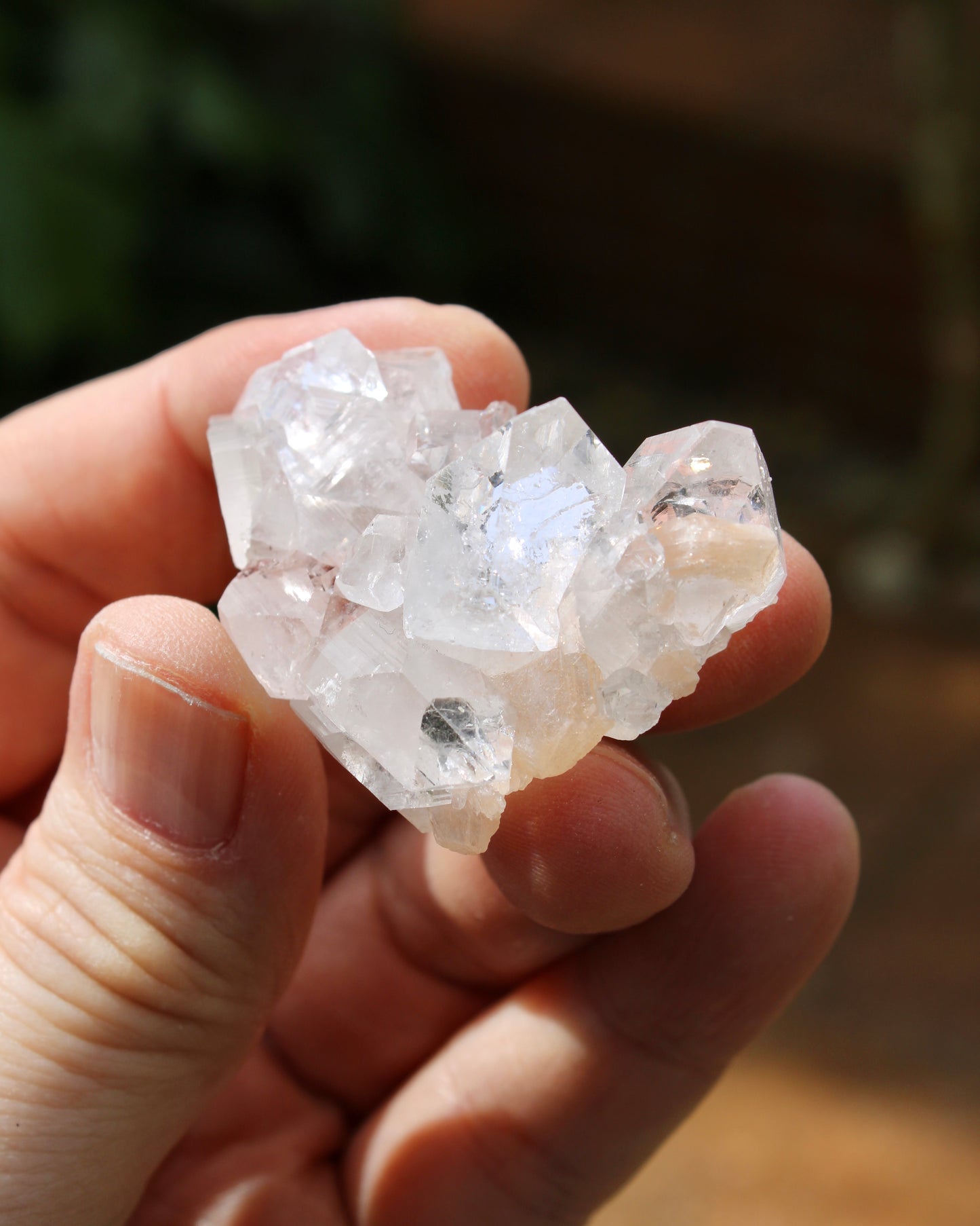 Apophyllite with Stilbite Natural Crystal Cluster