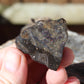Honduran Black Opal Part Polished Crystal