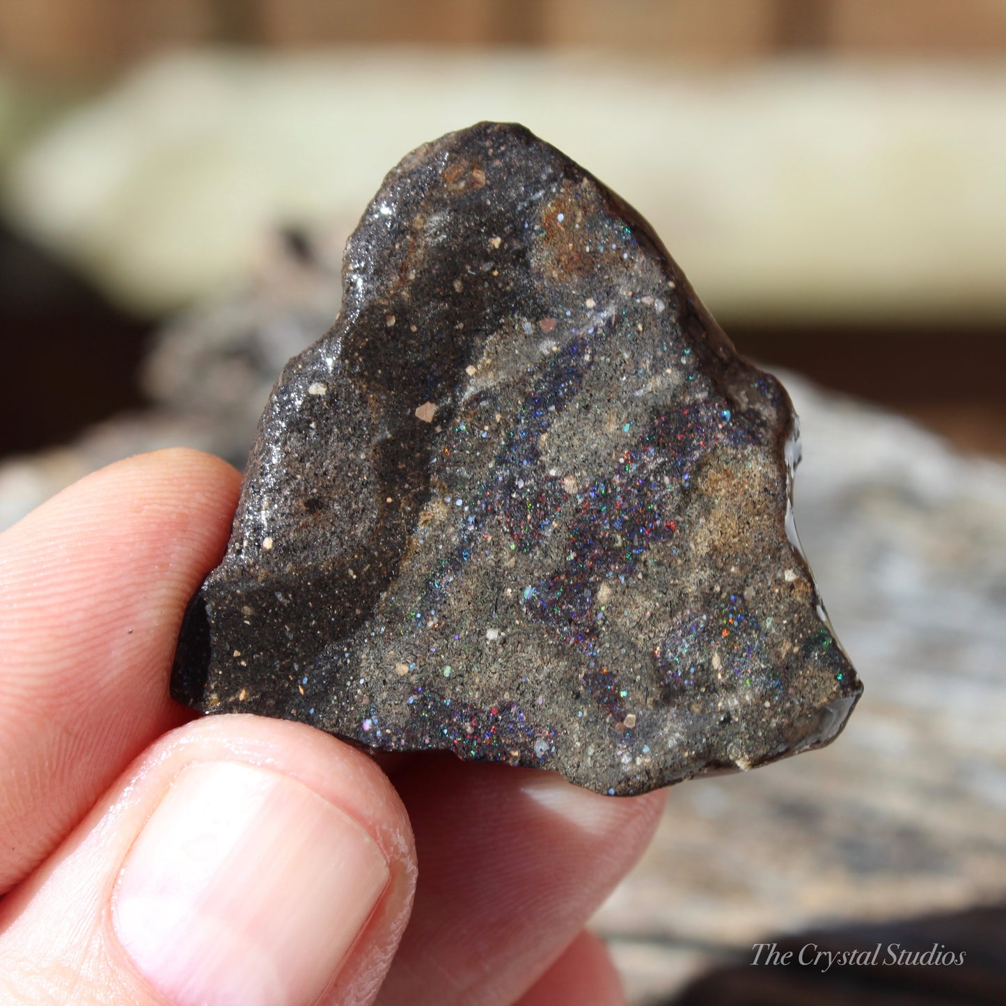 Honduran Black Opal Part Polished Crystal