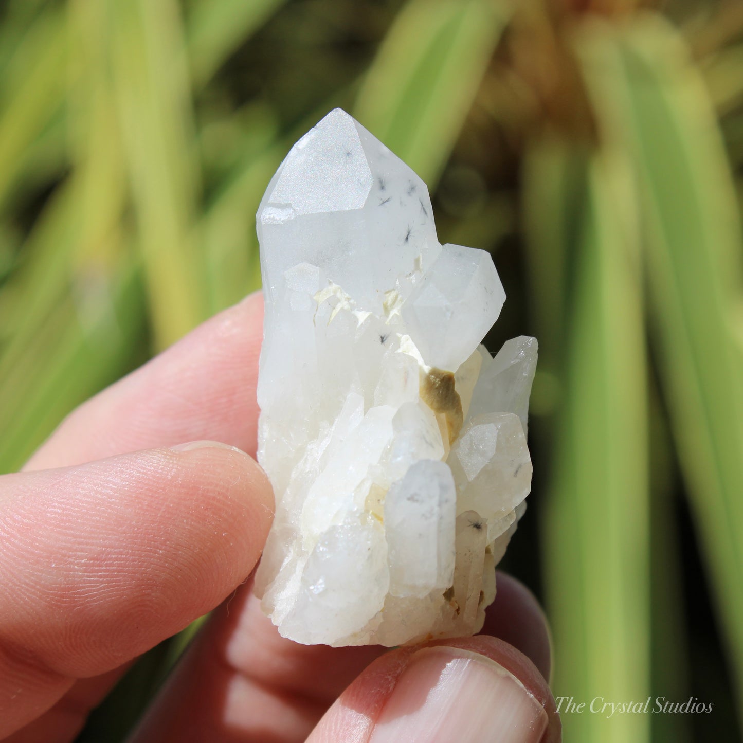 Holldanite Quartz Natural Cluster Crystal