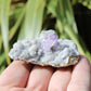 Vera Cruz Amethyst Natural Crystal Cluster