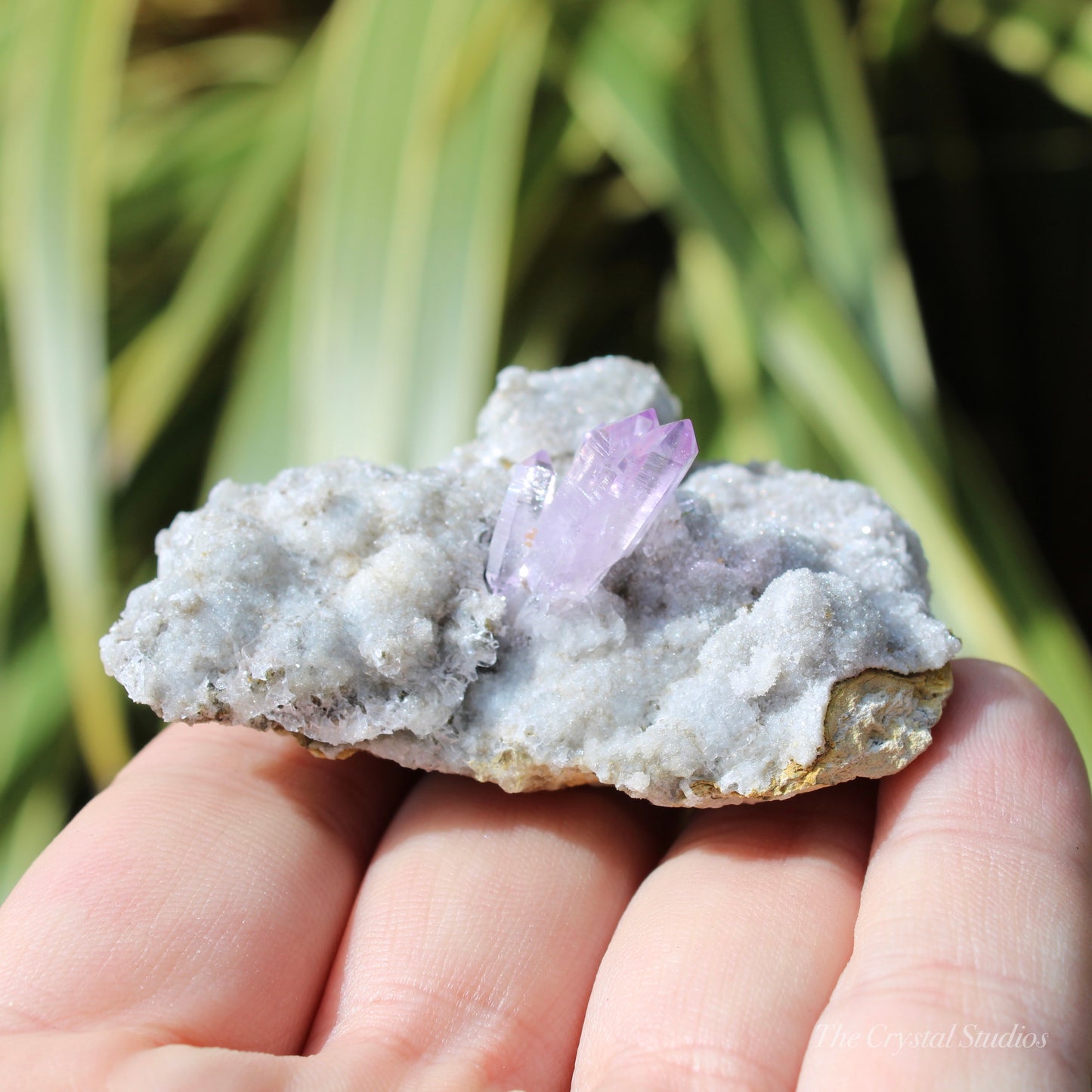 Vera Cruz Amethyst Natural Crystal Cluster