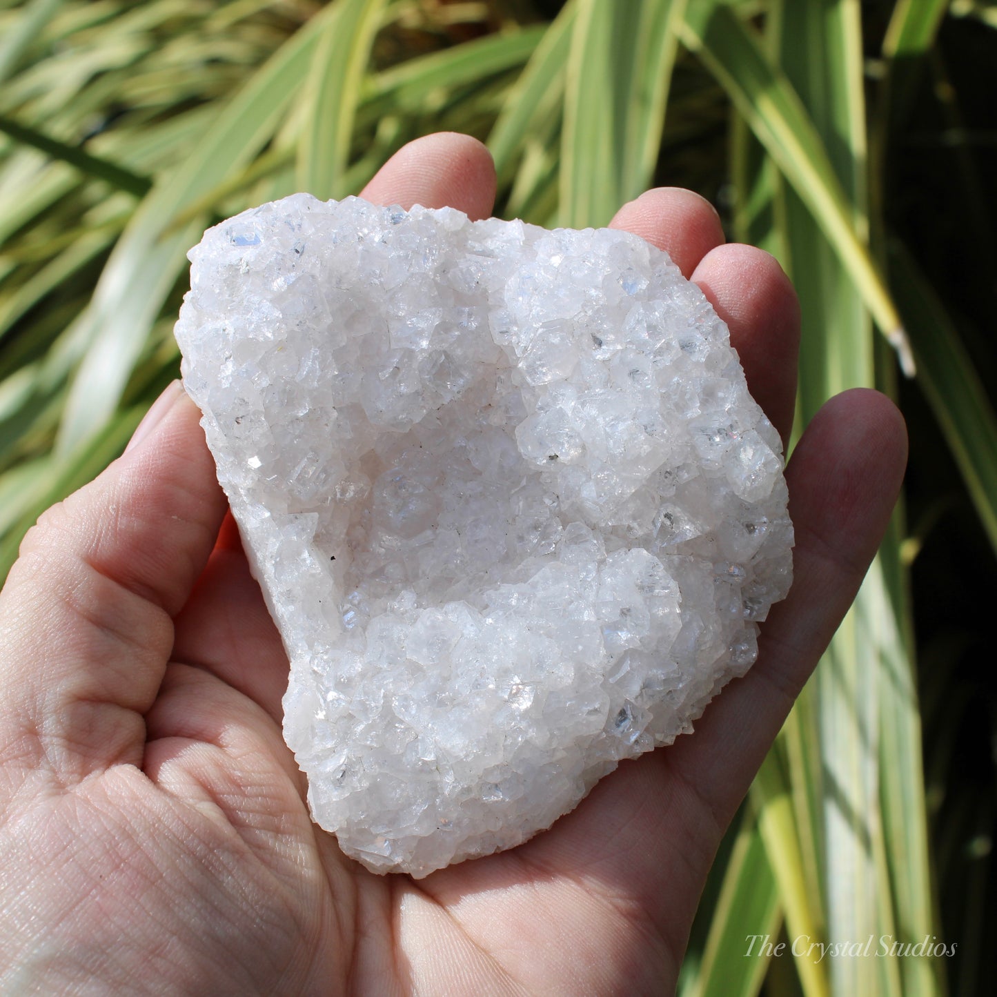 Pale Pink Apophyllite Natural Crystal Cluster
