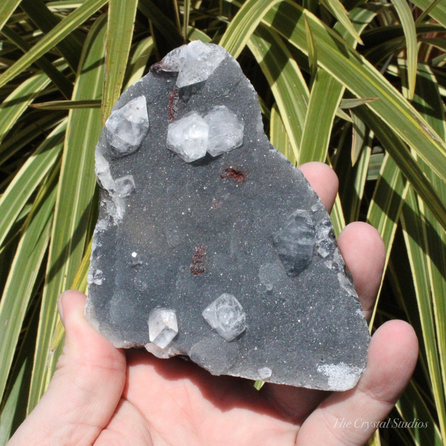 Blue Chalcedony with Apophyllite Natural Crystal Cluster