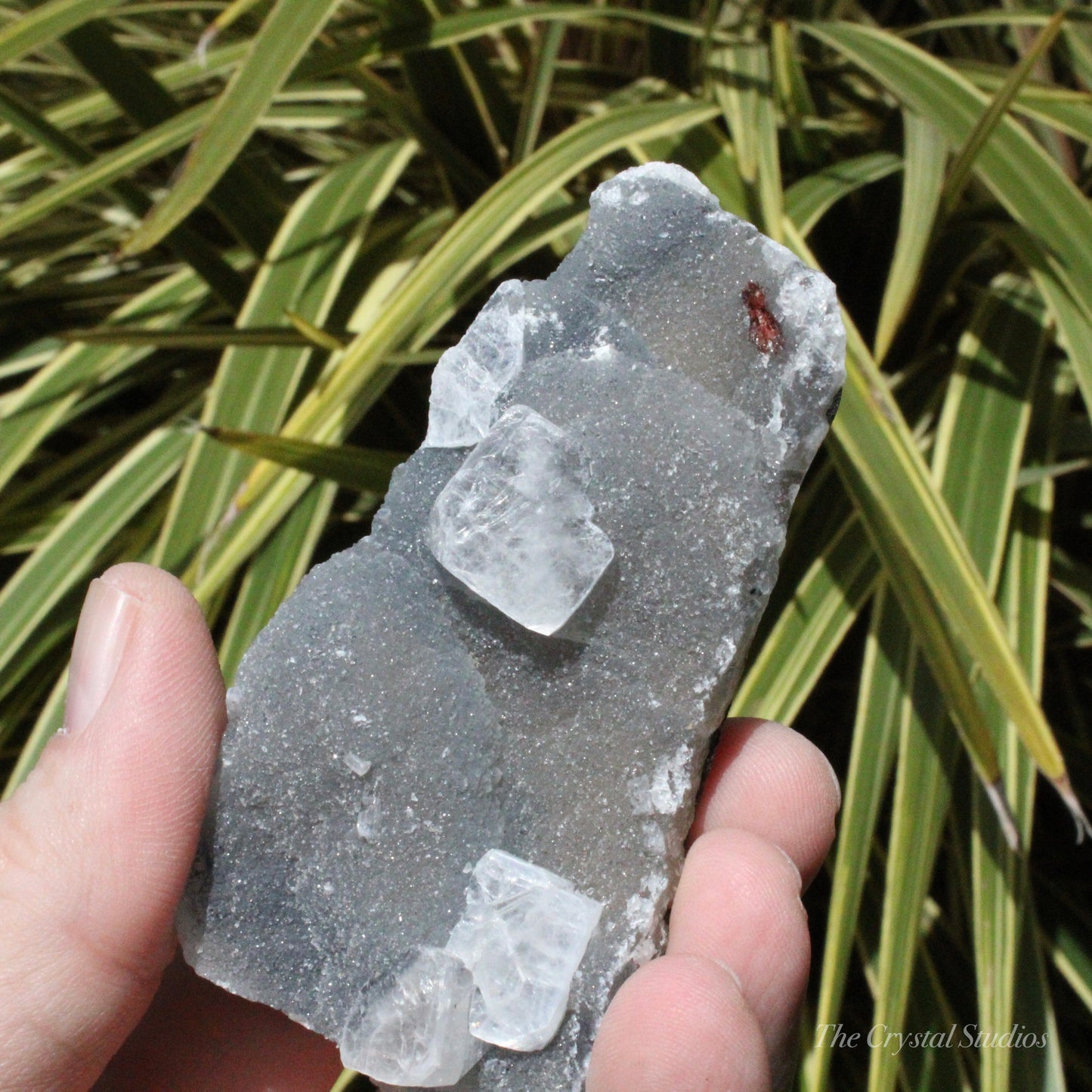 Blue Chalcedony with Apophyllite Natural Crystal Cluster