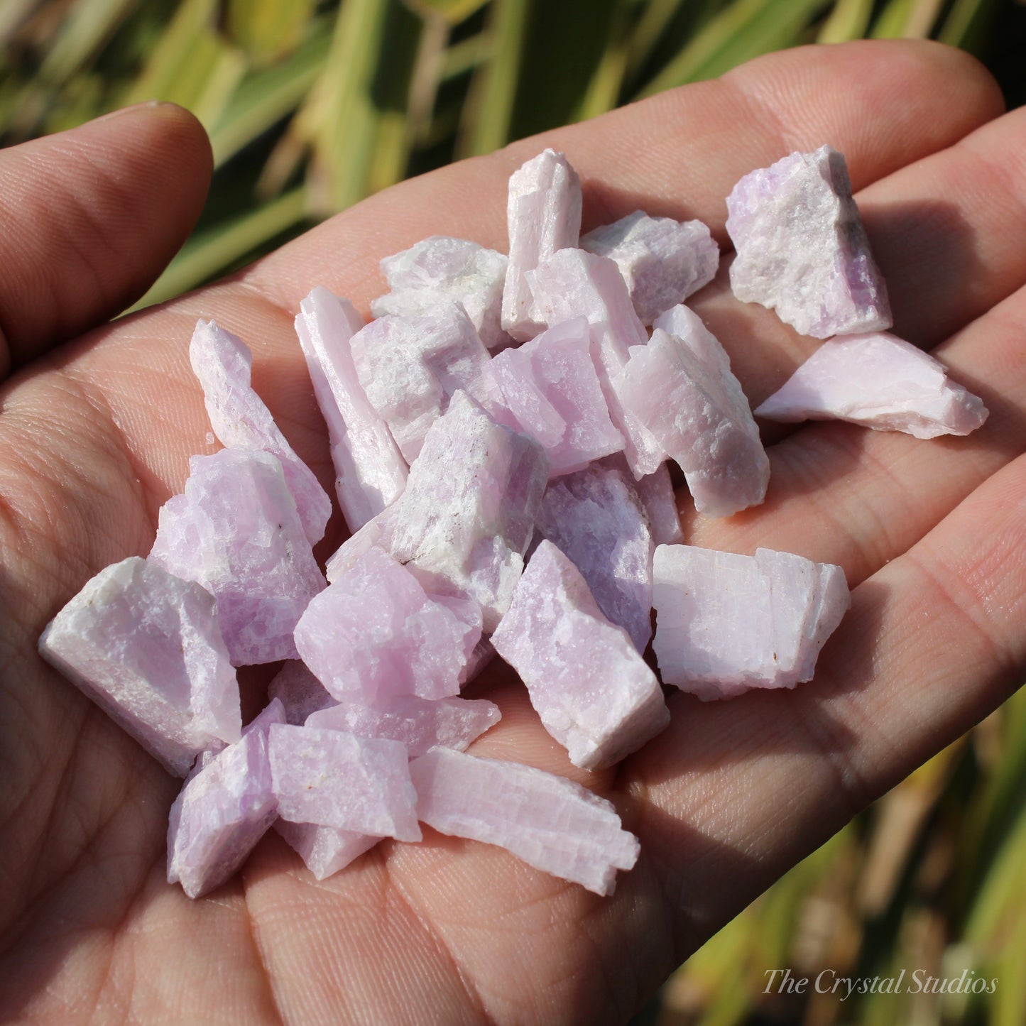Purple Kunzite Natural Crystals