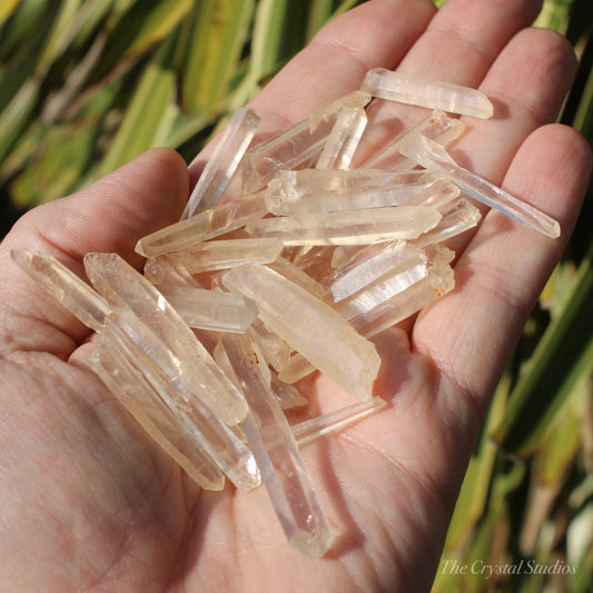 Lemurian Quartz Thin Natural Points