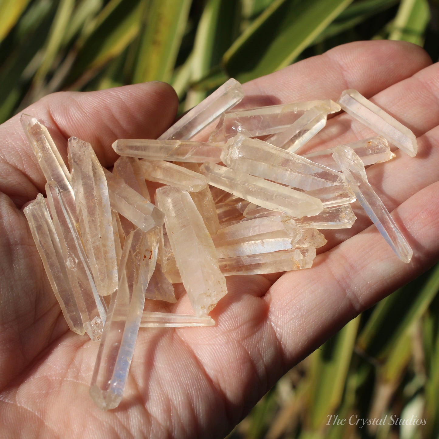 Lemurian Quartz Thin Natural Points