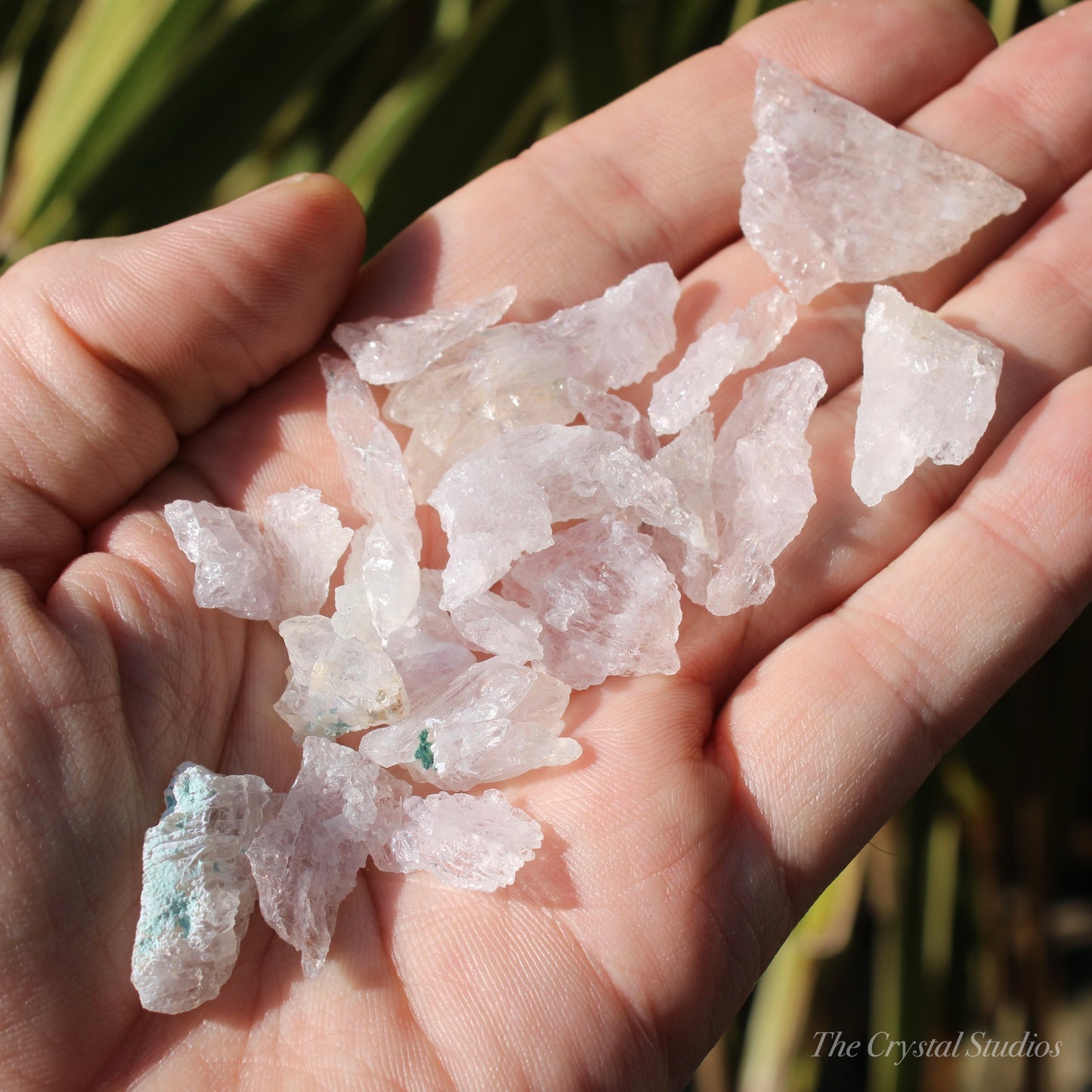 Flower Amethyst Small Natural Crystals