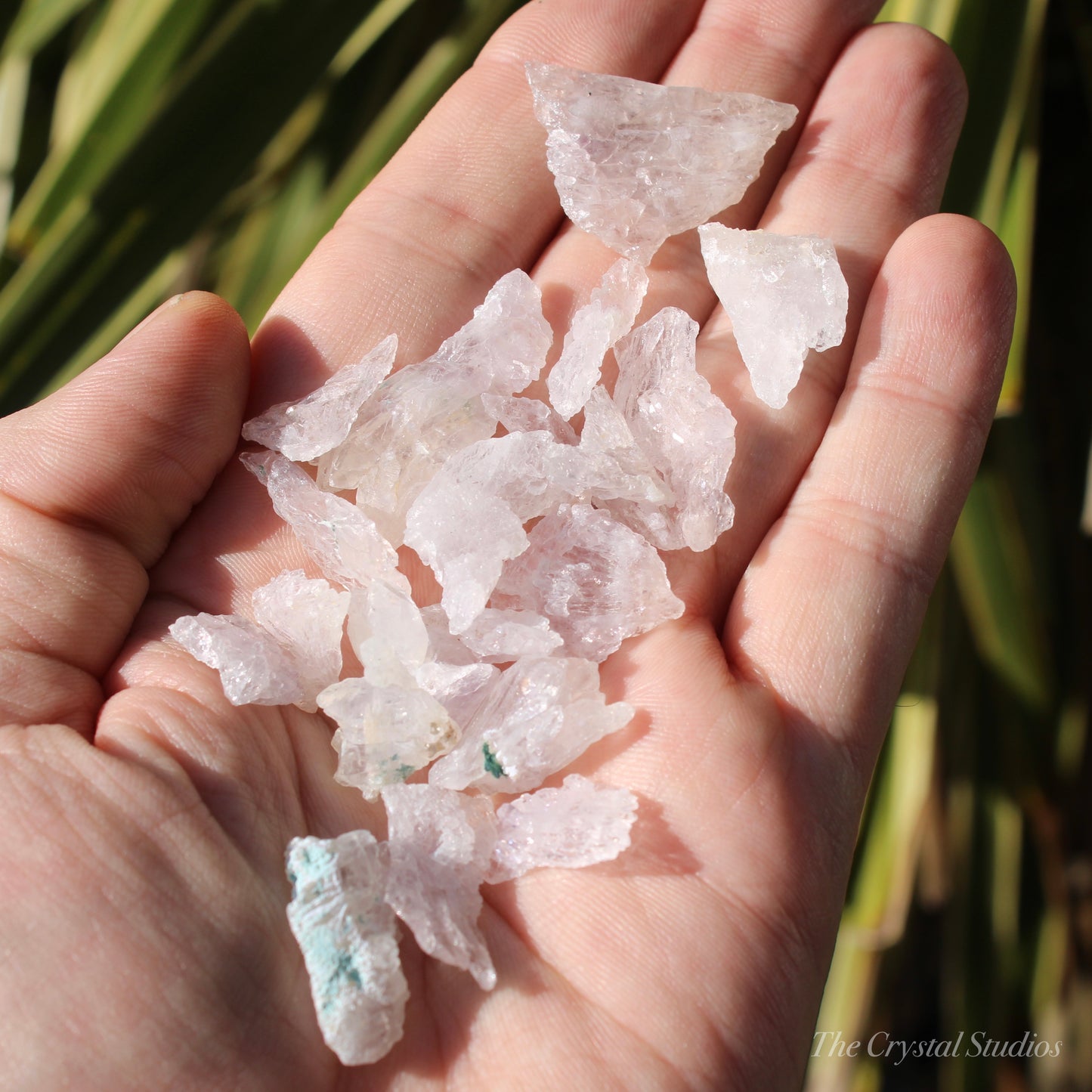 Flower Amethyst Small Natural Crystals