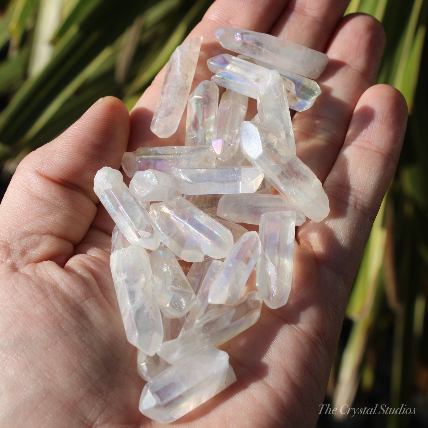 Angel Aura Quartz Small Natural Crystal Points