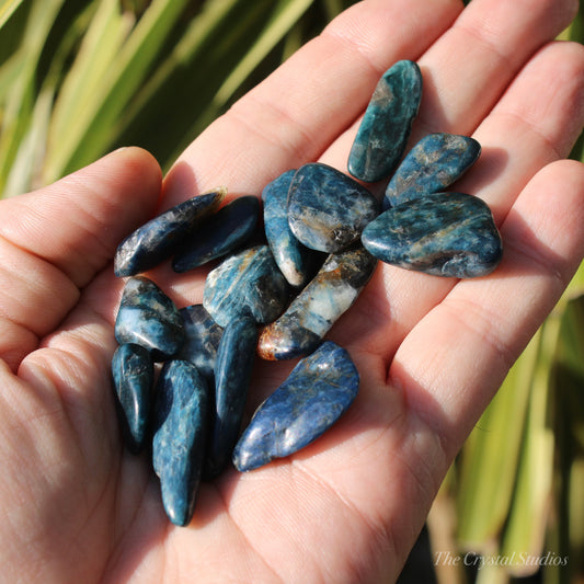 Blue Kyanite Small Polished Crystal Tumblestones