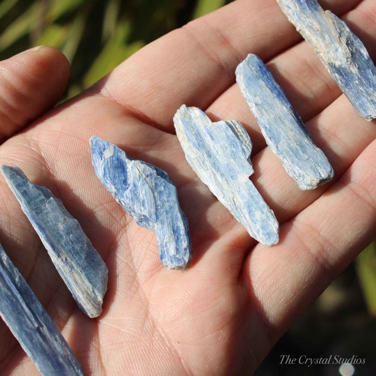 Blue Kyanite Natural Crystal Blades