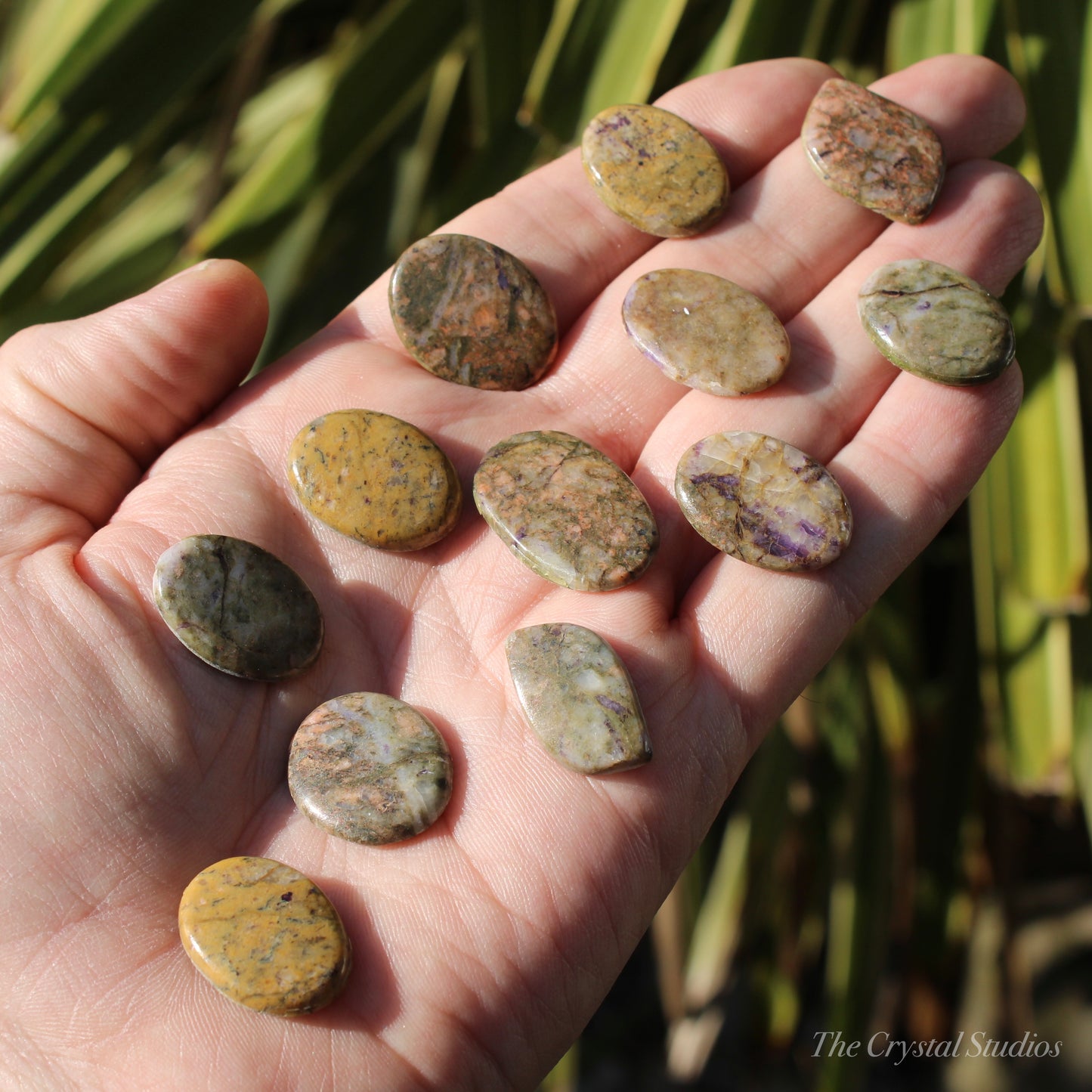 Brecciated Jasper Polished Crystal Cabochons